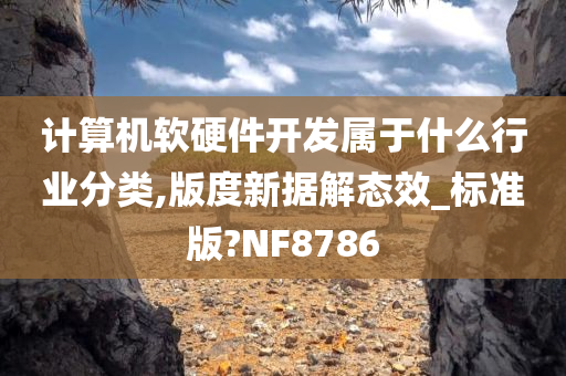 计算机软硬件开发属于什么行业分类,版度新据解态效_标准版?NF8786