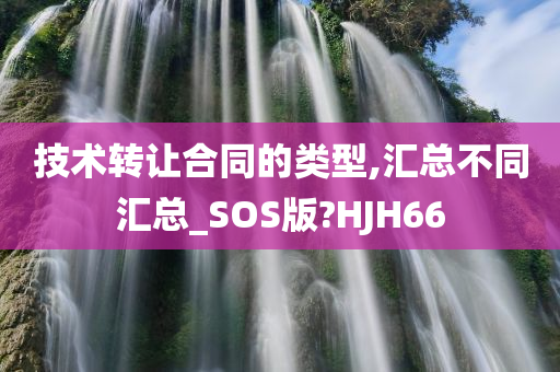 技术转让合同的类型,汇总不同汇总_SOS版?HJH66