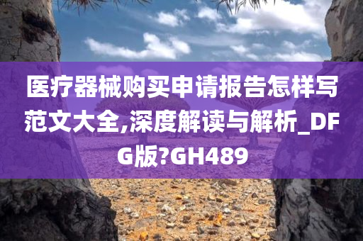 医疗器械购买申请报告怎样写范文大全,深度解读与解析_DFG版?GH489