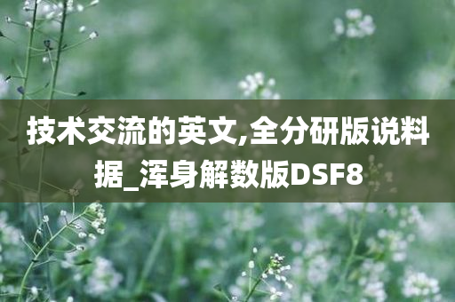 技术交流的英文,全分研版说料据_浑身解数版DSF8