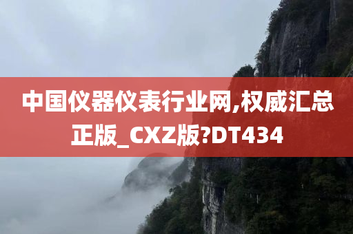 中国仪器仪表行业网,权威汇总正版_CXZ版?DT434