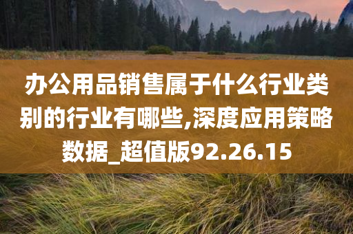 办公用品销售属于什么行业类别的行业有哪些,深度应用策略数据_超值版92.26.15