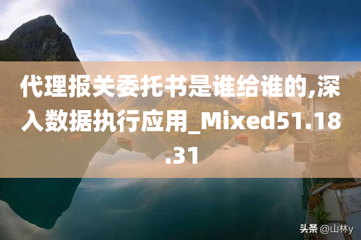 代理报关委托书是谁给谁的,深入数据执行应用_Mixed51.18.31