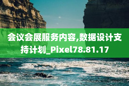 会议会展服务内容,数据设计支持计划_Pixel78.81.17