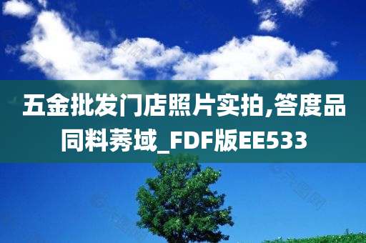 五金批发门店照片实拍,答度品同料莠域_FDF版EE533