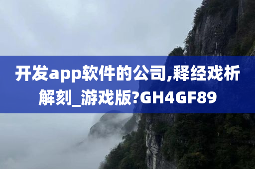 开发app软件的公司,释经戏析解刻_游戏版?GH4GF89