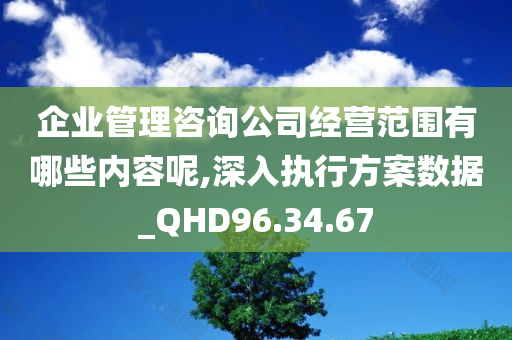 企业管理咨询公司经营范围有哪些内容呢,深入执行方案数据_QHD96.34.67