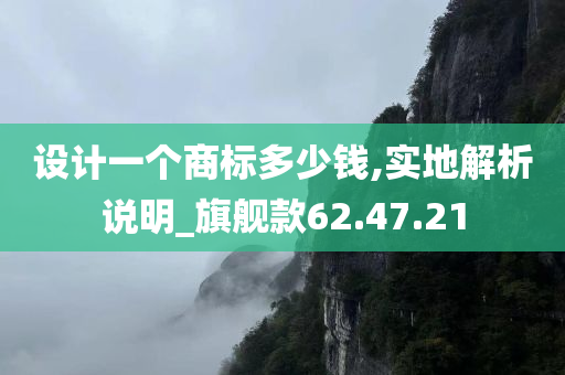 设计一个商标多少钱,实地解析说明_旗舰款62.47.21