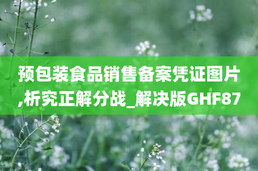 预包装食品销售备案凭证图片,析究正解分战_解决版GHF87