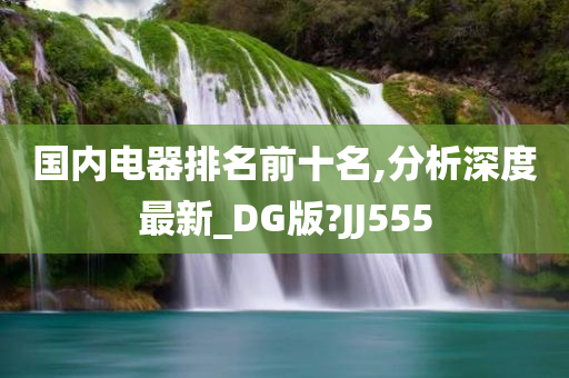 国内电器排名前十名,分析深度最新_DG版?JJ555