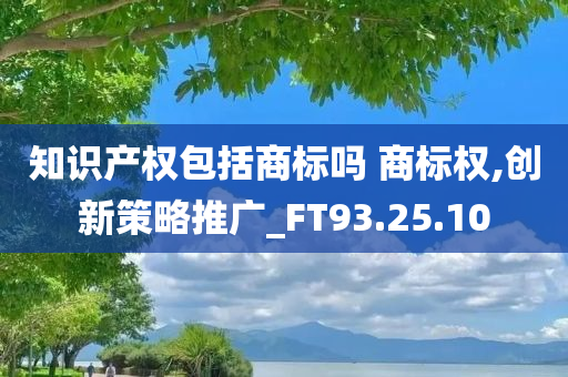 知识产权包括商标吗 商标权,创新策略推广_FT93.25.10