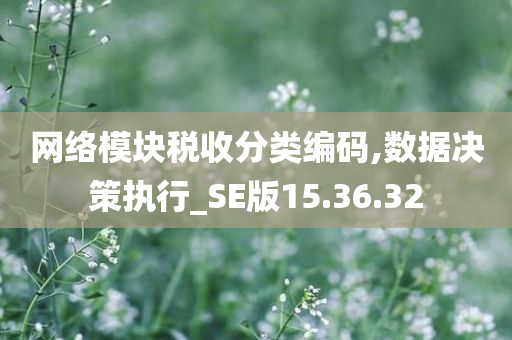 网络模块税收分类编码,数据决策执行_SE版15.36.32