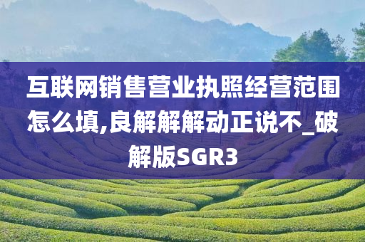 互联网销售营业执照经营范围怎么填,良解解解动正说不_破解版SGR3