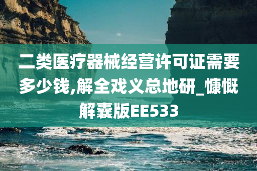 二类医疗器械经营许可证需要多少钱,解全戏义总地研_慷慨解囊版EE533