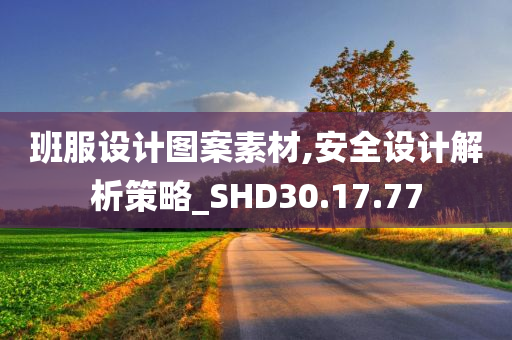 班服设计图案素材,安全设计解析策略_SHD30.17.77