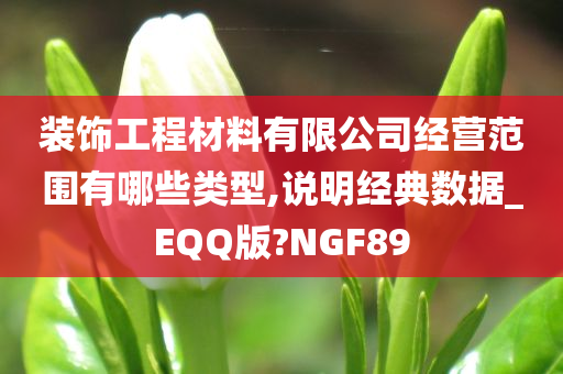 装饰工程材料有限公司经营范围有哪些类型,说明经典数据_EQQ版?NGF89