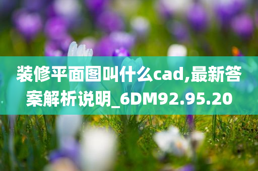 装修平面图叫什么cad,最新答案解析说明_6DM92.95.20