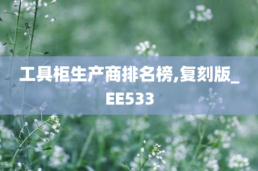 工具柜生产商排名榜,复刻版_EE533