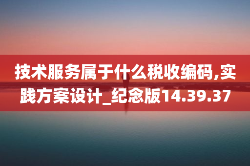 技术服务属于什么税收编码,实践方案设计_纪念版14.39.37