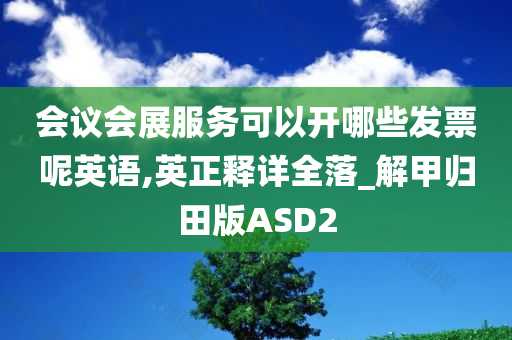 会议会展服务可以开哪些发票呢英语,英正释详全落_解甲归田版ASD2