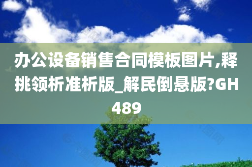 办公设备销售合同模板图片,释挑领析准析版_解民倒悬版?GH489