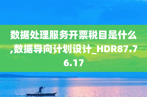 数据处理服务开票税目是什么,数据导向计划设计_HDR87.76.17