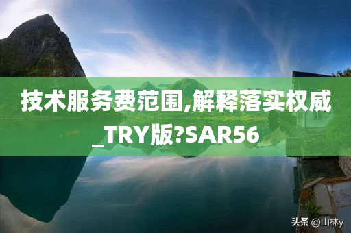 技术服务费范围,解释落实权威_TRY版?SAR56