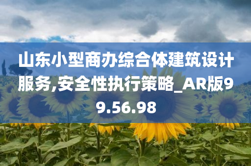 山东小型商办综合体建筑设计服务,安全性执行策略_AR版99.56.98