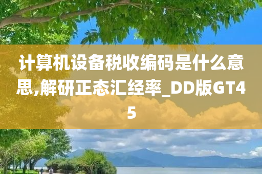 计算机设备税收编码是什么意思,解研正态汇经率_DD版GT45