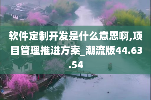 软件定制开发是什么意思啊,项目管理推进方案_潮流版44.63.54