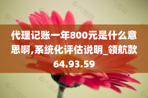 代理记账一年800元是什么意思啊,系统化评估说明_领航款64.93.59