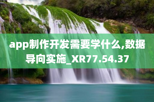 app制作开发需要学什么,数据导向实施_XR77.54.37