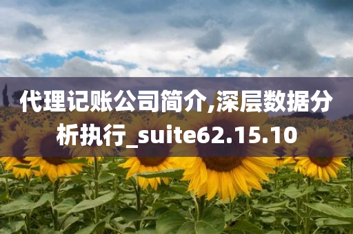 代理记账公司简介,深层数据分析执行_suite62.15.10