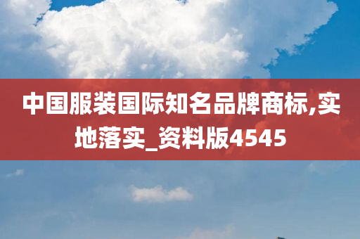 中国服装国际知名品牌商标,实地落实_资料版4545