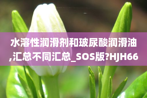 水溶性润滑剂和玻尿酸润滑油,汇总不同汇总_SOS版?HJH66