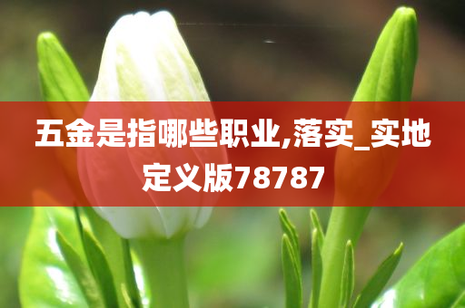 五金是指哪些职业,落实_实地定义版78787