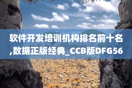 软件开发培训机构排名前十名,数据正版经典_CCB版DFG56