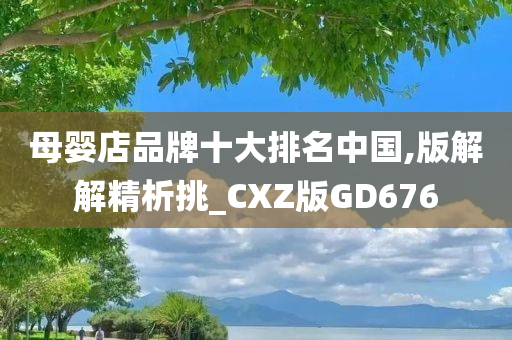 母婴店品牌十大排名中国,版解解精析挑_CXZ版GD676