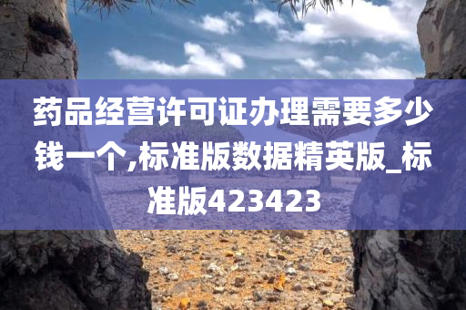 药品经营许可证办理需要多少钱一个,标准版数据精英版_标准版423423