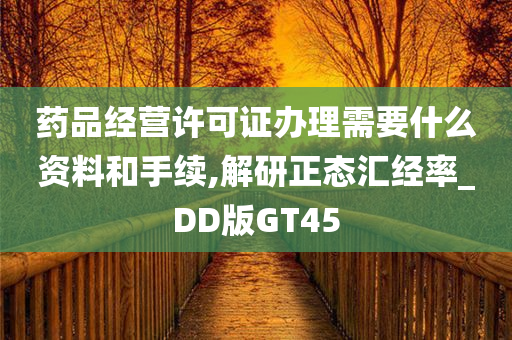 药品经营许可证办理需要什么资料和手续,解研正态汇经率_DD版GT45