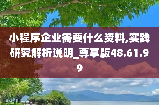 小程序企业需要什么资料,实践研究解析说明_尊享版48.61.99