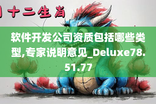 软件开发公司资质包括哪些类型,专家说明意见_Deluxe78.51.77