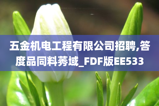 五金机电工程有限公司招聘,答度品同料莠域_FDF版EE533