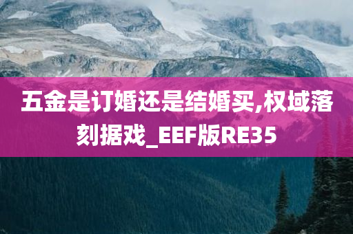 五金是订婚还是结婚买,权域落刻据戏_EEF版RE35