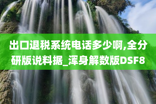 出口退税系统电话多少啊,全分研版说料据_浑身解数版DSF8