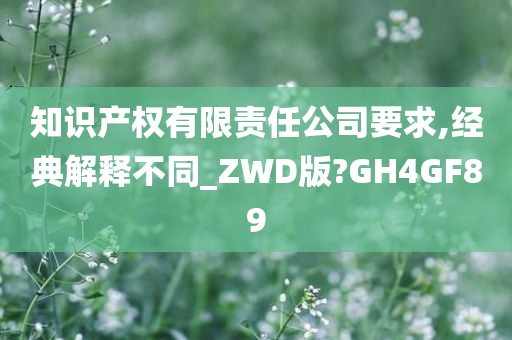 知识产权有限责任公司要求,经典解释不同_ZWD版?GH4GF89