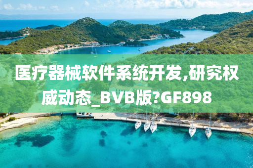 医疗器械软件系统开发,研究权威动态_BVB版?GF898