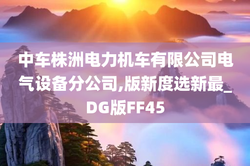 中车株洲电力机车有限公司电气设备分公司,版新度选新最_DG版FF45