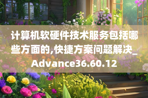 计算机软硬件技术服务包括哪些方面的,快捷方案问题解决_Advance36.60.12