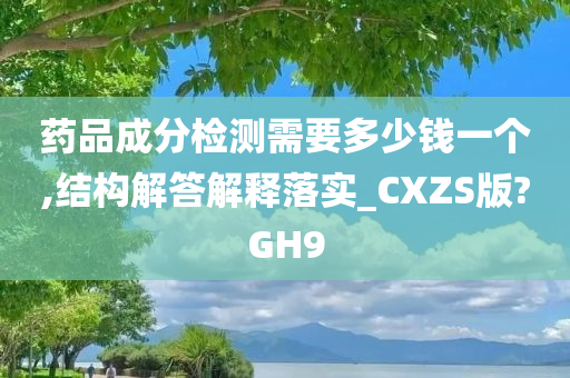 药品成分检测需要多少钱一个,结构解答解释落实_CXZS版?GH9